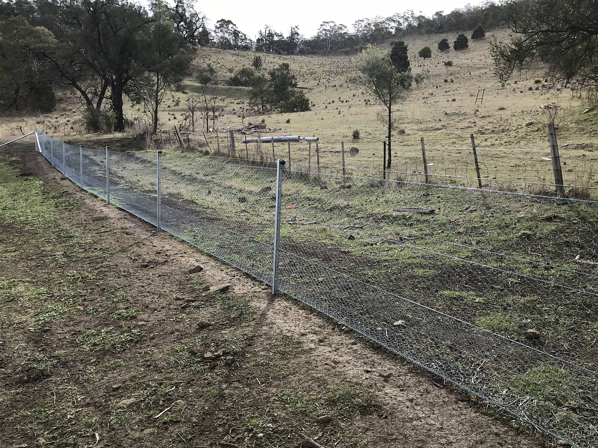 Exclusion netting with the ground apron laid out flat before it is pinned, running beside an older boundary fence