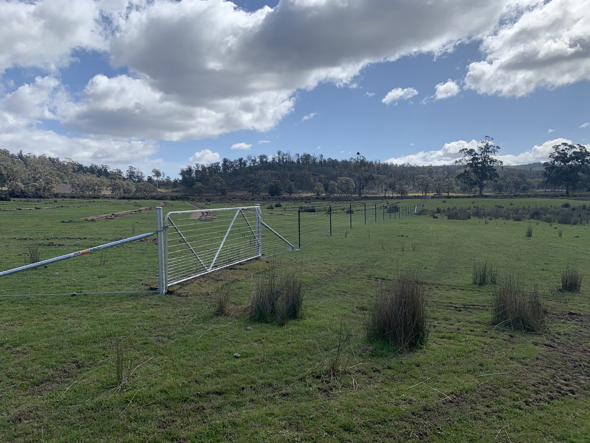 A galvanised farm gate hung on a galvanised steel post in a new fence line across a green paddock
